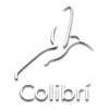 Logo-Posada-Colibri-blanco-sf