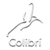 Logo-Posada-Colibri-blanco-sf